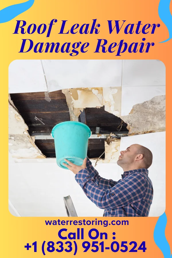 Roof Leak Water Damage Repair in Floraville, IL