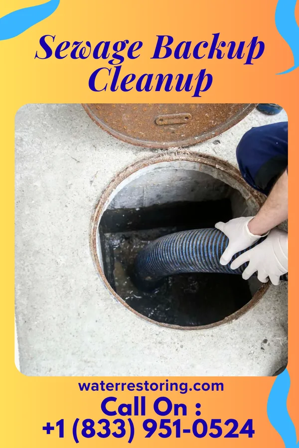 Sewage Backup Cleanup in Floraville, IL